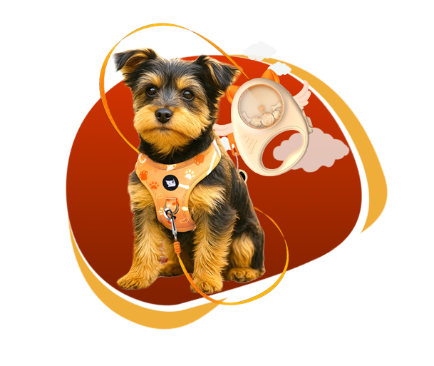 PupPlay Pet Harness + Leash Set