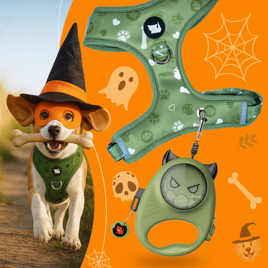 Cheeky Imp Retractable Pet Leash