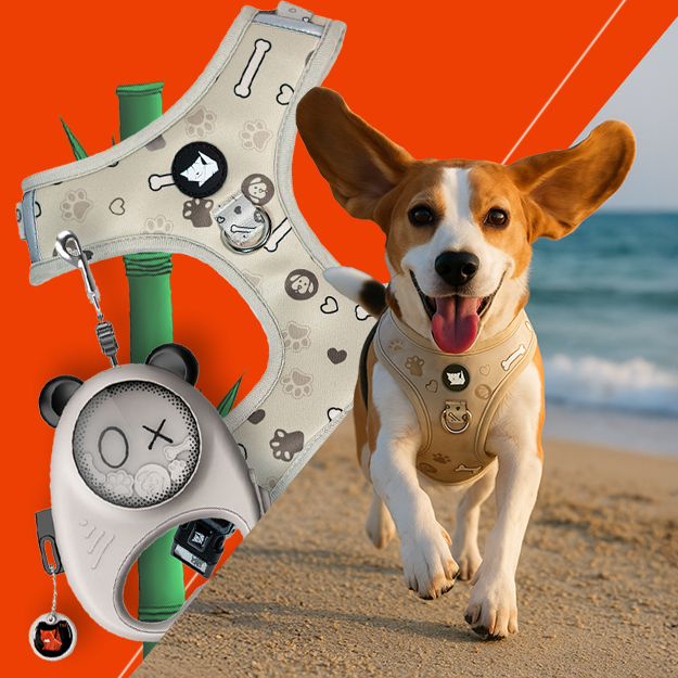 Panda Hug Pet Harness + Harness Set