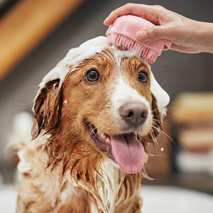 8-Piece Pet Grooming Kit