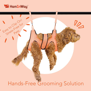 Pet Grooming Hammock Kit Green