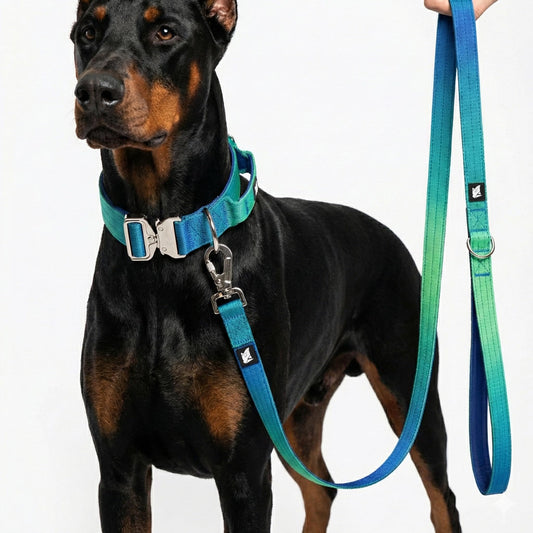 Heavy Duty Tactical Dog Collar and Leash Set