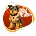 PupPlay Pet Harness + Leash Set