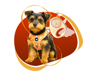 PupPlay Pet Harness + Leash Set