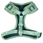 Cheeky Imp No-Pull Dog Harness