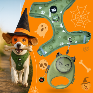 Cheeky Imp Retractable Pet Leash