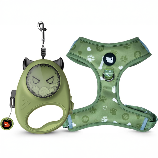 Cheeky Imp Pet Harness + Leash Set