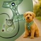 Happy dog in a green Cheeky Imp harness running outside, shown with matching retractable leash and product close-up.