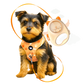 PupPlay Retractable Pet Leash