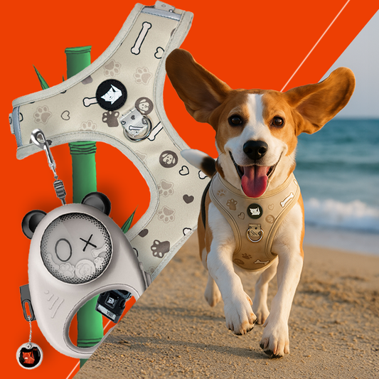 Panda Hug Pet Harness + Harness Set