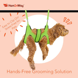 Pet Grooming Hammock Kit Green