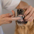 8-Piece Pet Grooming Kit