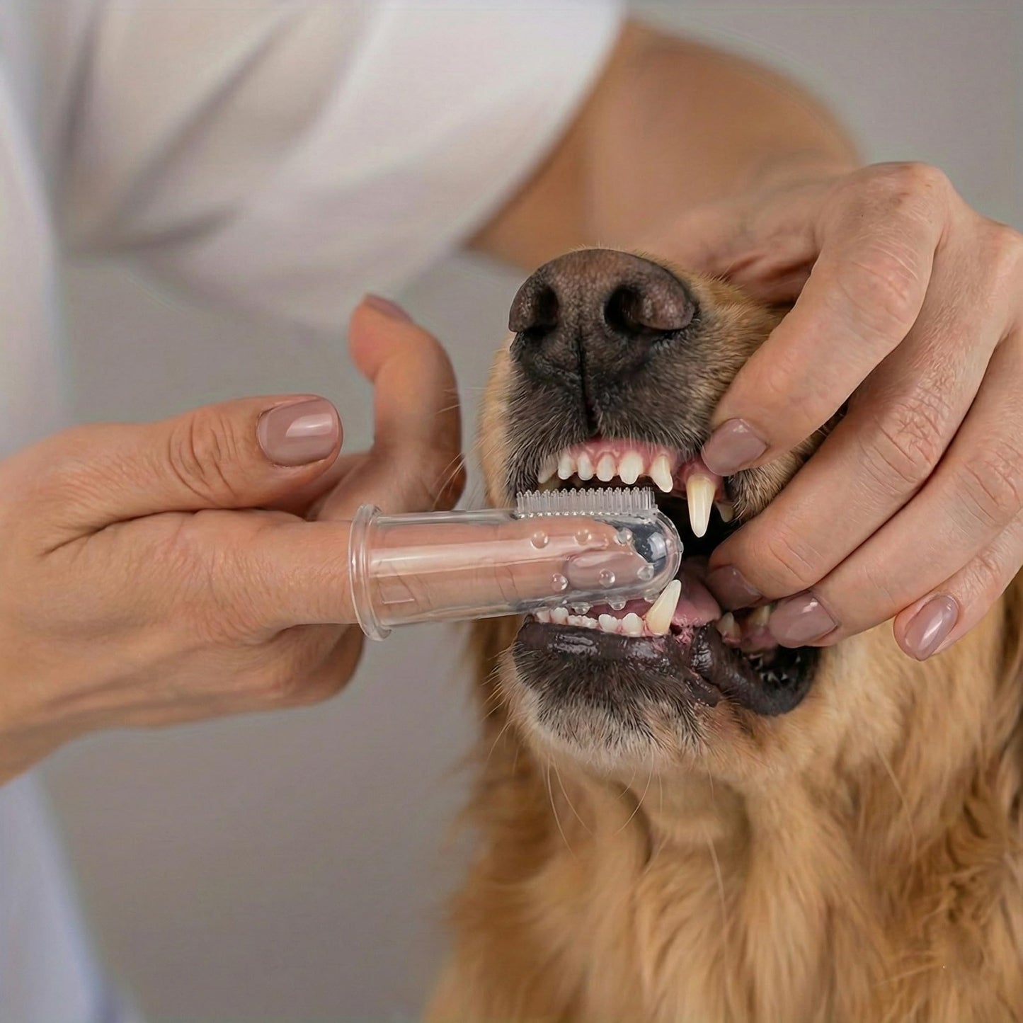 8-Piece Pet Grooming Kit
