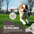 Panda Hug No-Pull Dog Harness