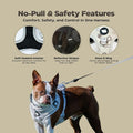 Panda Hug No-Pull Dog Harness