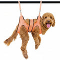 Pet Grooming Hammock Kit Green