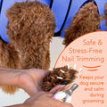 Pet Grooming Hammock Kit Green