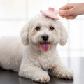 8-Piece Pet Grooming Kit