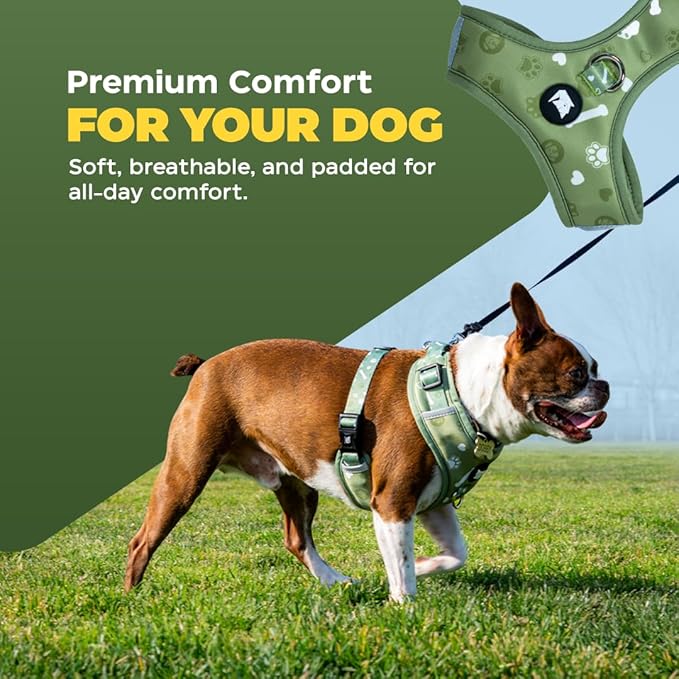 Cheeky Imp No-Pull Dog Harness