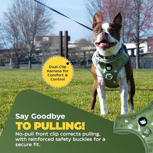 Cheeky Imp No-Pull Dog Harness