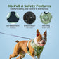 Cheeky Imp No-Pull Dog Harness