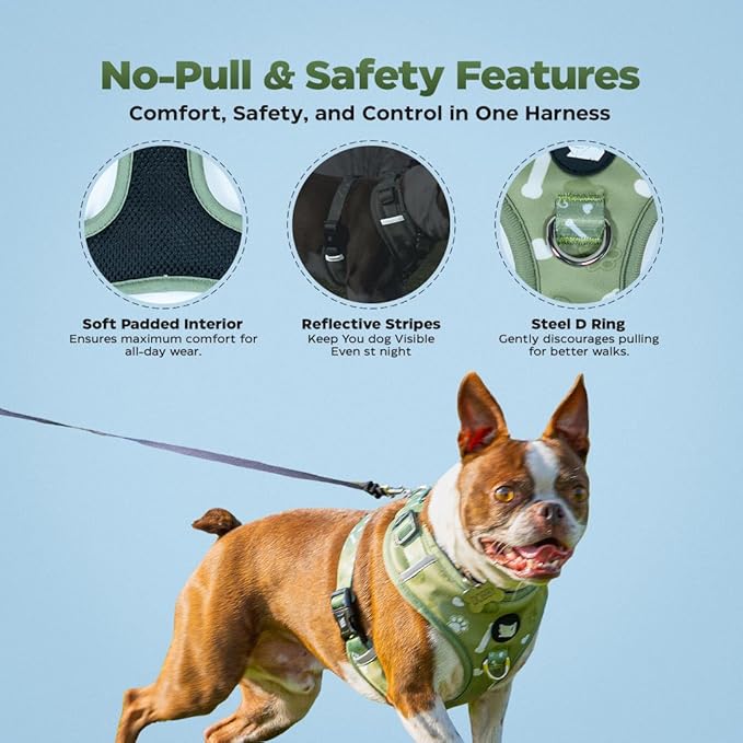 Cheeky Imp No-Pull Dog Harness