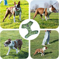 Cheeky Imp No-Pull Dog Harness