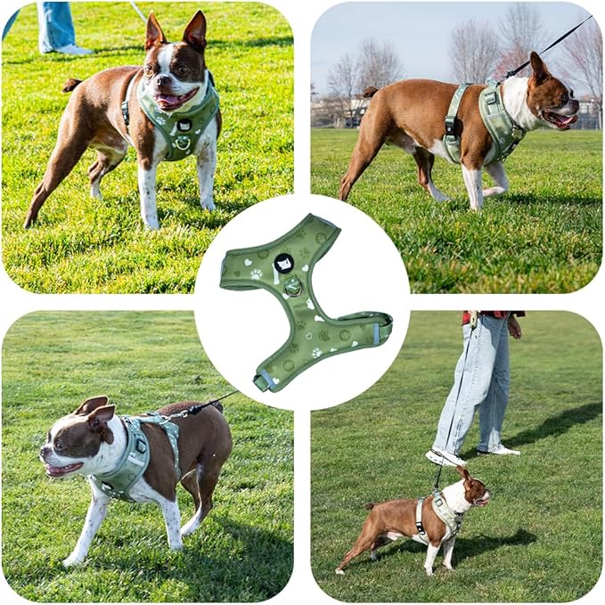 Cheeky Imp No-Pull Dog Harness