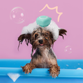 Silicone Pet Bath Brush – Blue