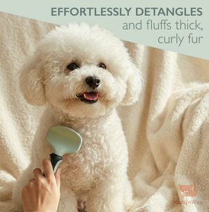 8-in-1 Pet Grooming Kit
