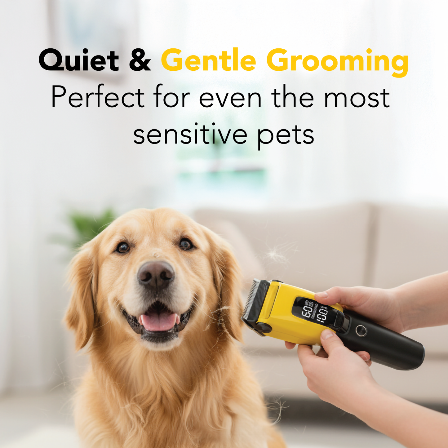 Cordless Dog Clippers