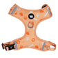 PupPlay Pet Harness + Leash Set