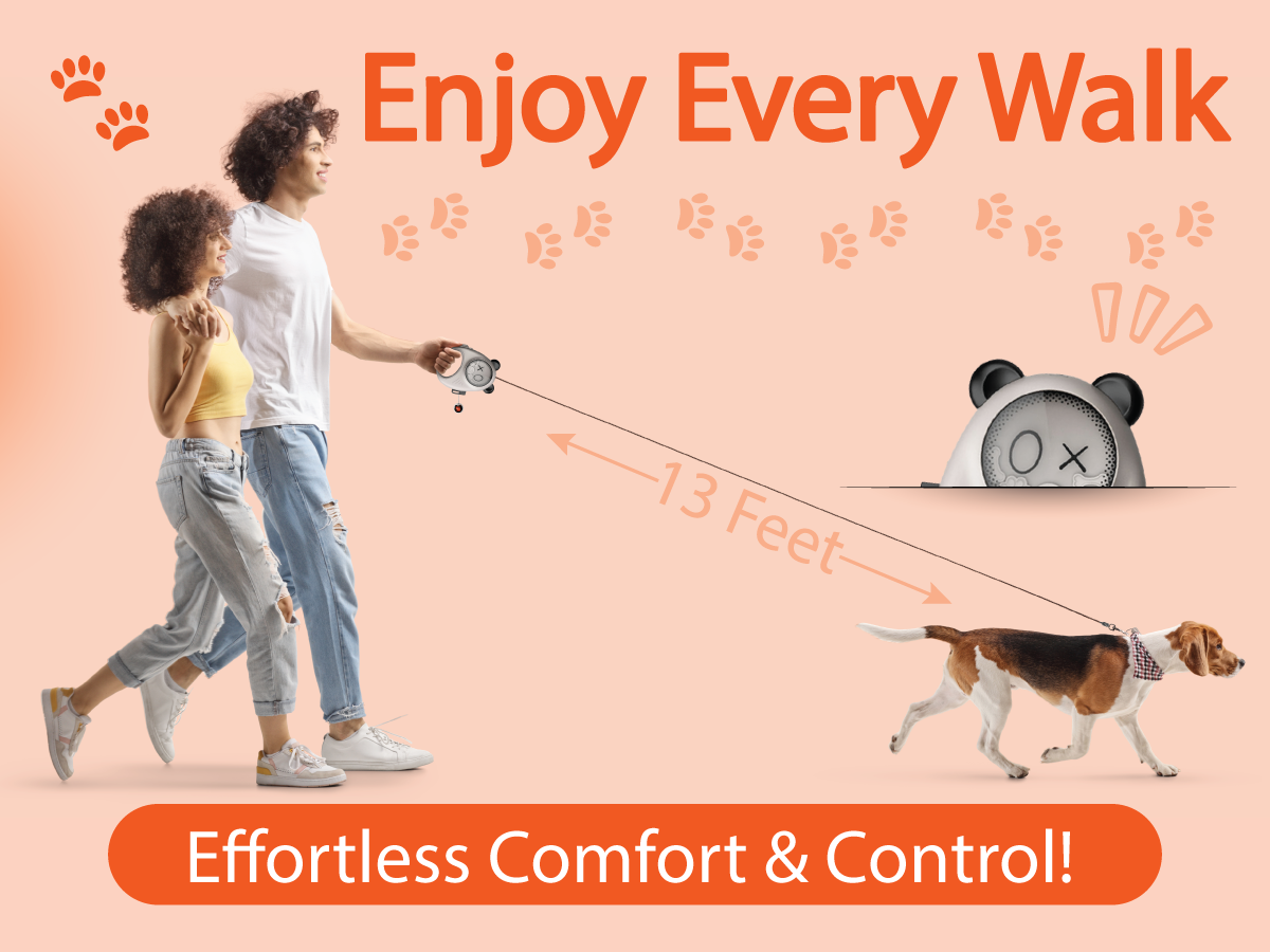 Panda Hug Retractable Pet Leash