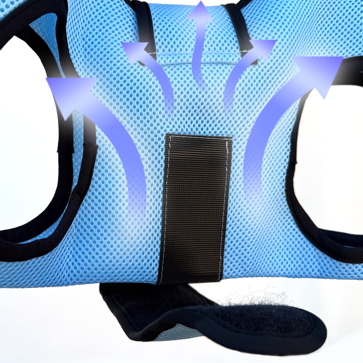 Pet Grooming Hammock - Blue