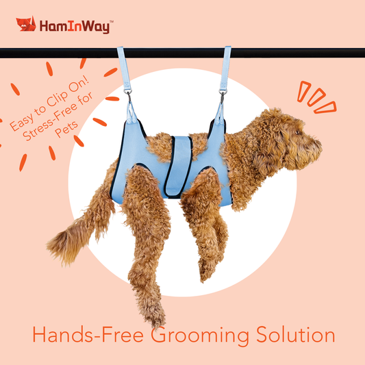 Pet Grooming Hammock - Blue