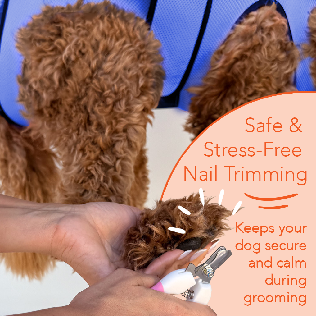 Pet Grooming Hammock - Blue