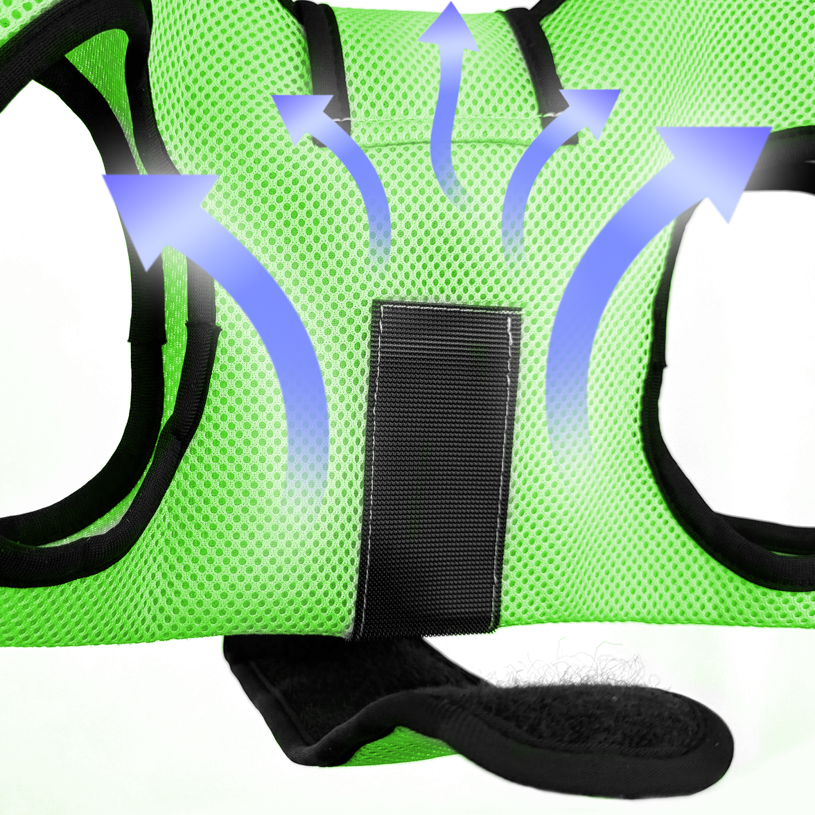 Pet Grooming Hammock - Green