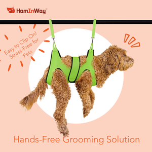 Pet Grooming Hammock - Green